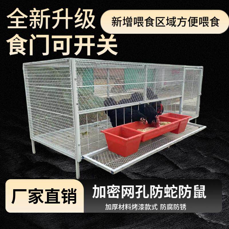 鸡笼家用室外防黄鼠狼饲养笼铁丝网鸽子鸭兔不锈钢芦丁鸡密养殖笼