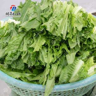 腾昇震动筛 不锈钢震动筛设备价格 蔬菜除水震动筛