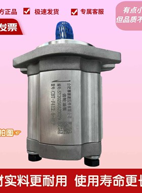 齿轮油泵CBT-F412.5-AFH AFP AFPL合肥赛源SY液压油泵CBT-F416