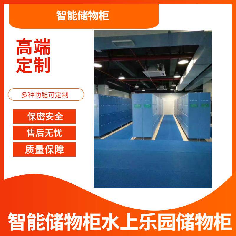 滑雪场更衣柜IC卡一卡通智能存包柜电影院游乐园储物柜公司寄包柜