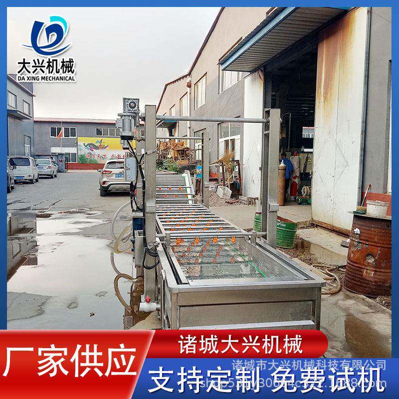 鳕鱼皮解冻清洗机鱼块虾块提升式化冻机猪内脏不锈钢自动解冻机