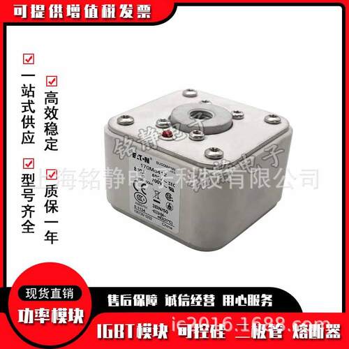 170M6413 170M6414 170M6415 170M6416 170M6417巴斯曼熔断器现货