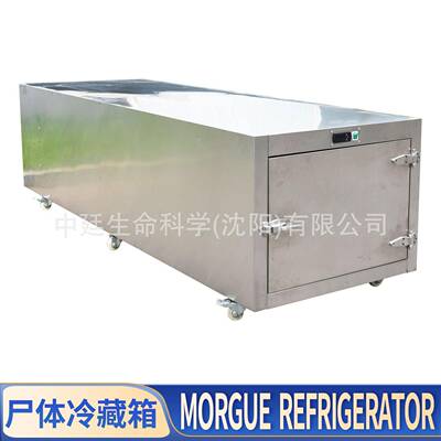 Mortuaryfreezer一具太平柜殡仪馆死人冷冻遗体保存尸体冷藏箱