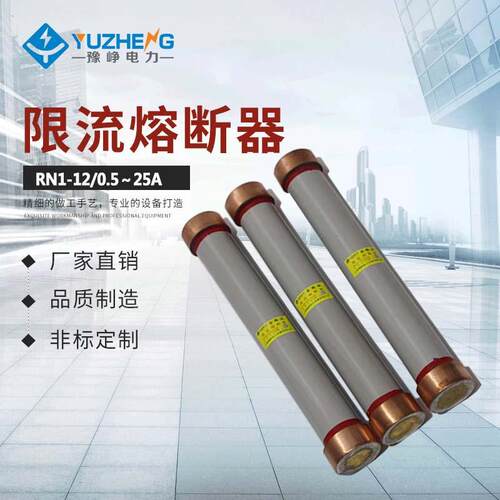 RN1 RN3-10 RN3-12/10A 15A 20A 25A 30A 40A 50A 60A高压熔断器
