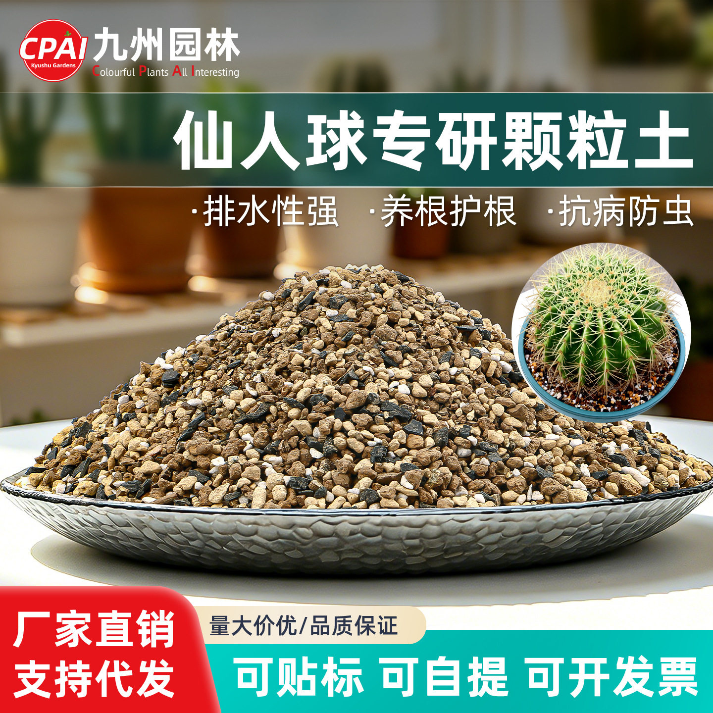 仙人球仙人球仙人掌营养栽培基质