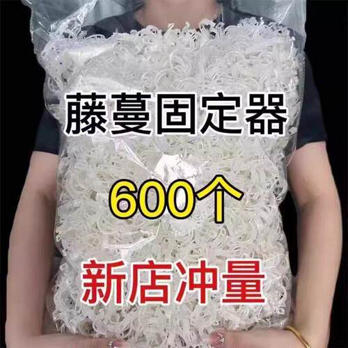 绿植果树植物固定夹卡扣藤蔓固定器秧苗爬藤支伸缩杆果蔬秧苗吊秧