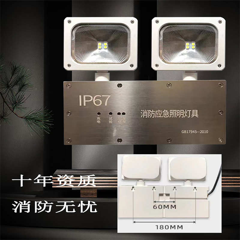 不锈钢双头灯安全出口应照明灯冷库应急灯IP67防水消防应急照明灯