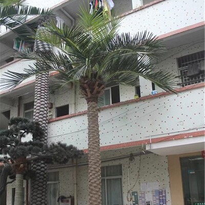 人造大L2020.4仿真藻树度假区海玻璃钢软装工程博物馆水型泥藻仿