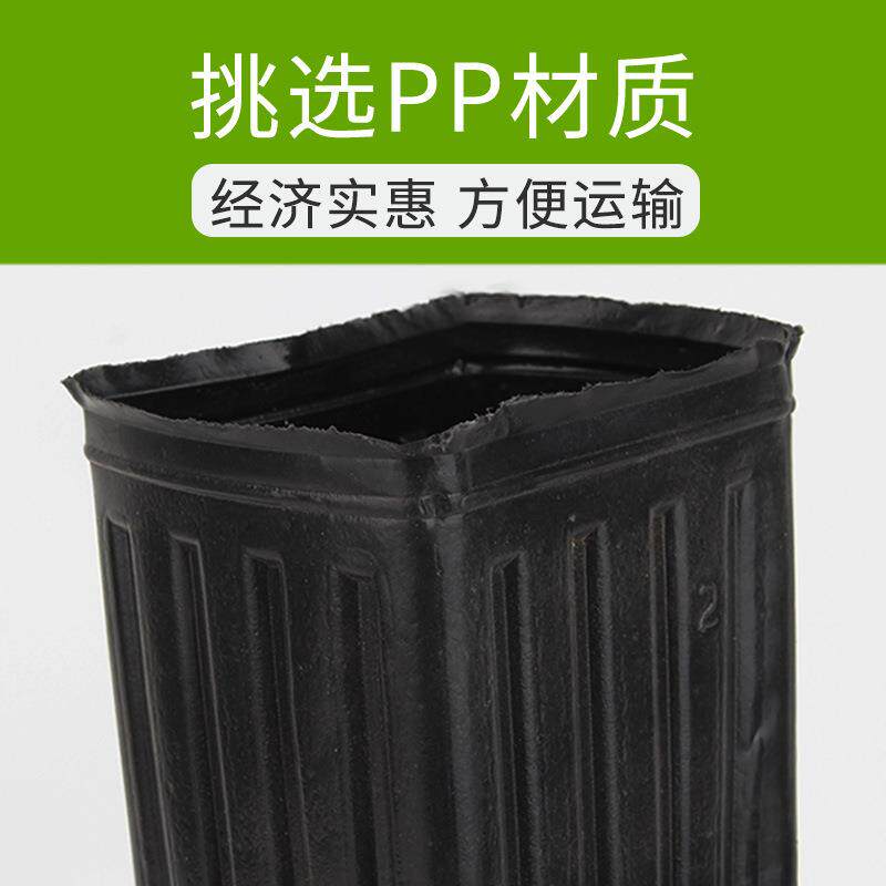 橙柑次橘苗营养杯育苗杯性SXW塑料育苗盆加高加厚方脐口细长营一