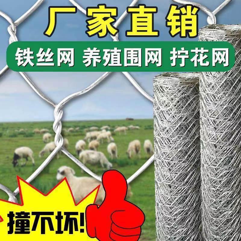 镀锌铁丝网围栏护栏网养殖圈牛羊猪狗防护网拧花钢丝网护坡六角网