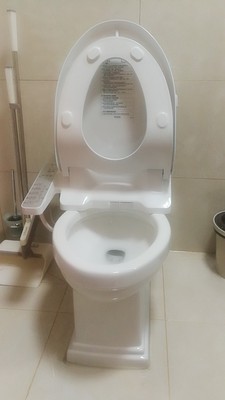 TOTO智能马桶盖卫洗丽洁身器TCF345CS怎么样?冲洗效果行不行?