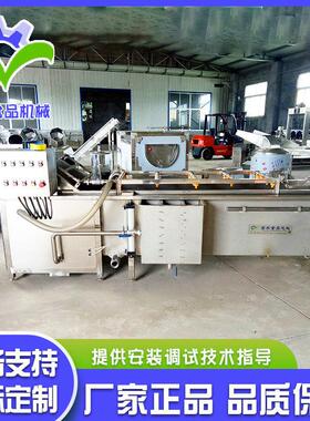 全自动喷淋式瓜果气泡清洗机 辣椒清洗加工设备 不锈钢果蔬清洗机