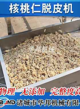 应机化核仁脱皮机 物理核桃仁去皮流水线 桃XWS不锈钢供脱皮械设