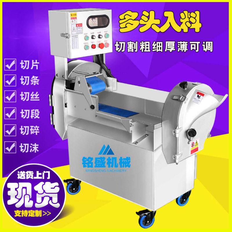 商用多功能榆钱菠菜切段机 不锈钢台湾姜切丁机 火炬姜切片设备