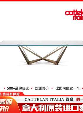 Cattelan餐桌钢化玻璃高端长方形餐桌外贸出口不锈钢餐桌轻奢家具