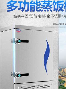 蒸饭柜商用电蒸2箱蒸饭车220v家用14小盘6型全自动蒸饭机4盘盘1蒸