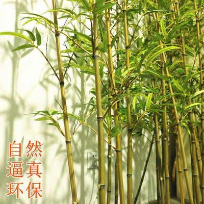 仿真竹子室内装饰假竹子隔断屏风挡墙造景室外装饰竹盆栽加密绿植