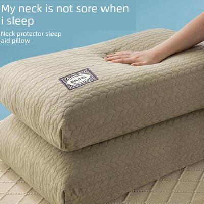 A pair of five-star hotel soft pillow with pillowcase 枕头芯
