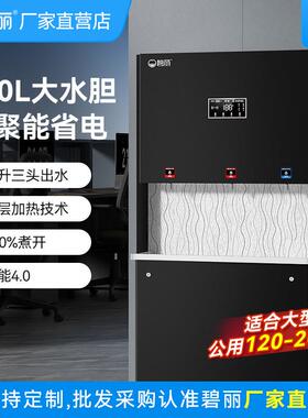碧丽商用净水器智能开水器学校办公室双聚能开水器步进式直饮水机