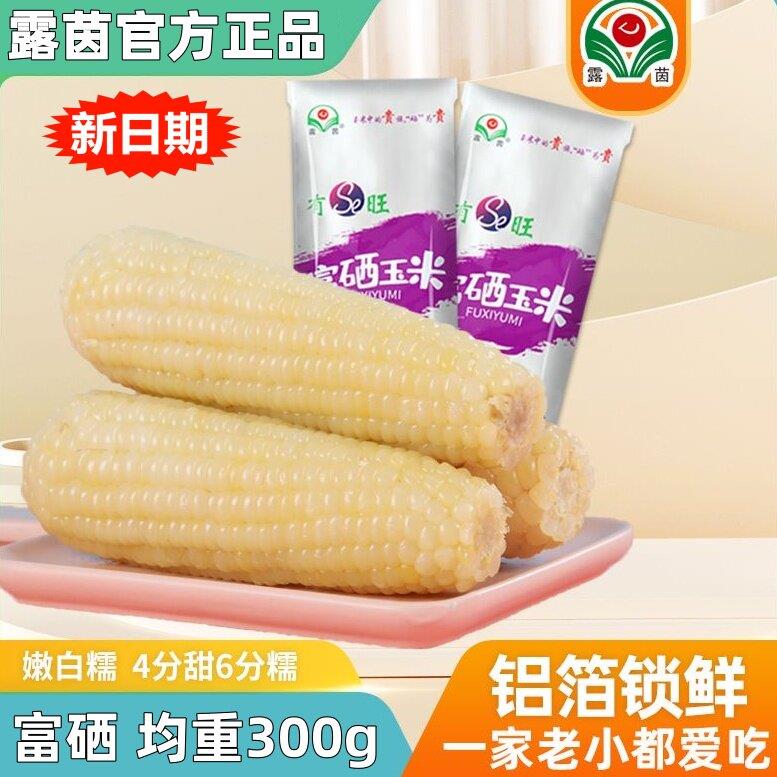 新日期富硒玉米露茵甜糯白黄玉米棒新鲜糯玉米黏粘现摘真空8根