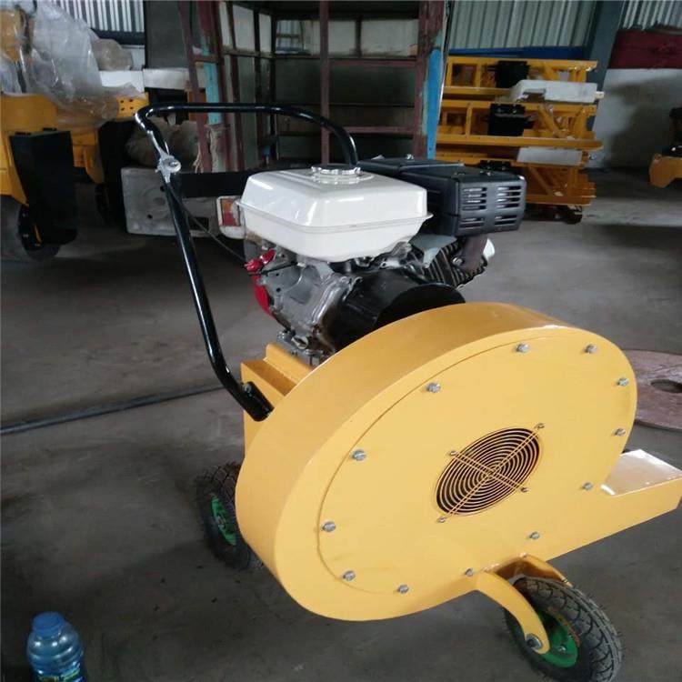 供应TYCF-1汽油动力混凝土路面吹风机 源厂直供实惠耐用爆,机械设备,其他机械设备,淘宝优惠券,粉丝福利购,淘宝优惠卷