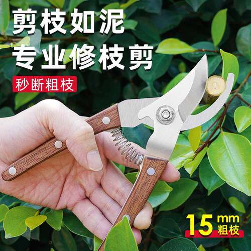 修枝剪全套园艺剪园林弯头花园剪刀摘果剪弹簧手动工具剪刀