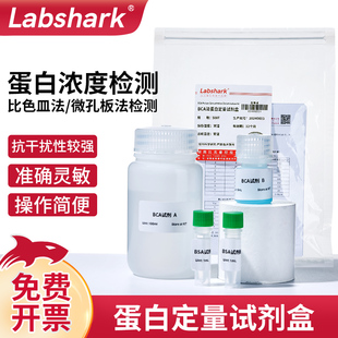 BCA法蛋白定量试剂盒总蛋白定量测定带标准微板法500TWB Labshark