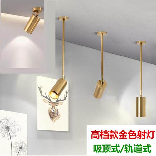 长杆射灯店铺 商用服装店美甲店吊灯单头金色吊杆小射灯led轨道灯