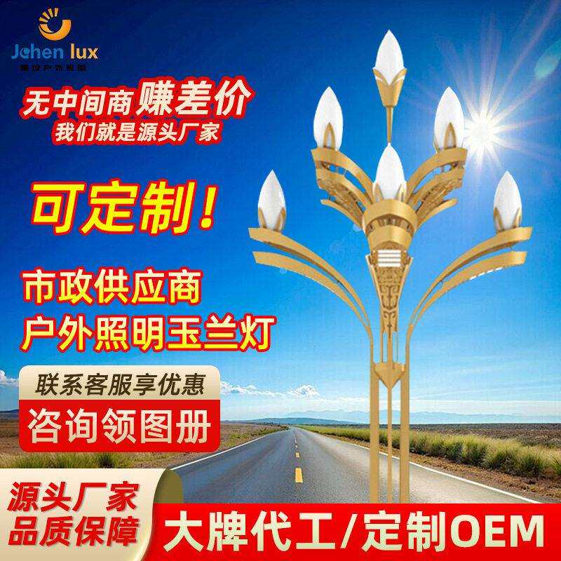 严选LED玉兰灯市政道路景观灯景区广场市电工程照明灯中华灯