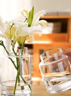花瓶摆件客厅插花玻璃轻奢高级感透明复古餐桌矮水培玫瑰大肚宽口