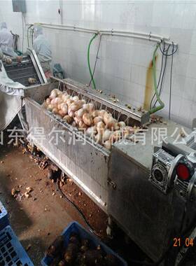 农副产品土豆红薯芋头去皮清洗深加工设备 槟榔芋头条/块油炸机