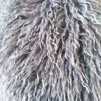 2023新款奥丝羊毛滩羊毛长毛绒