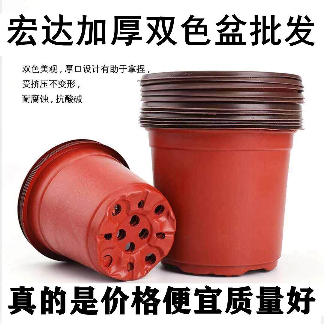 加厚双色盆多肉盆一次性塑料花盆养花种植盆大加仑盆营养杯育苗杯