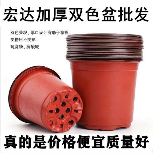 双色育苗花盆/育苗钵插扦加厚大号营养杯种植花盆家用塑料育苗盆