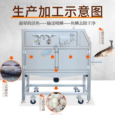 高压牌损去鳞鳞机自动去JAI鱼鳞机刁子鱼去鳞机自动脱鳞机无去机
