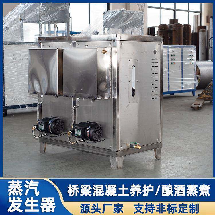 工业蒸汽发生器全自动电蒸汽锅炉桥梁养护器120kw