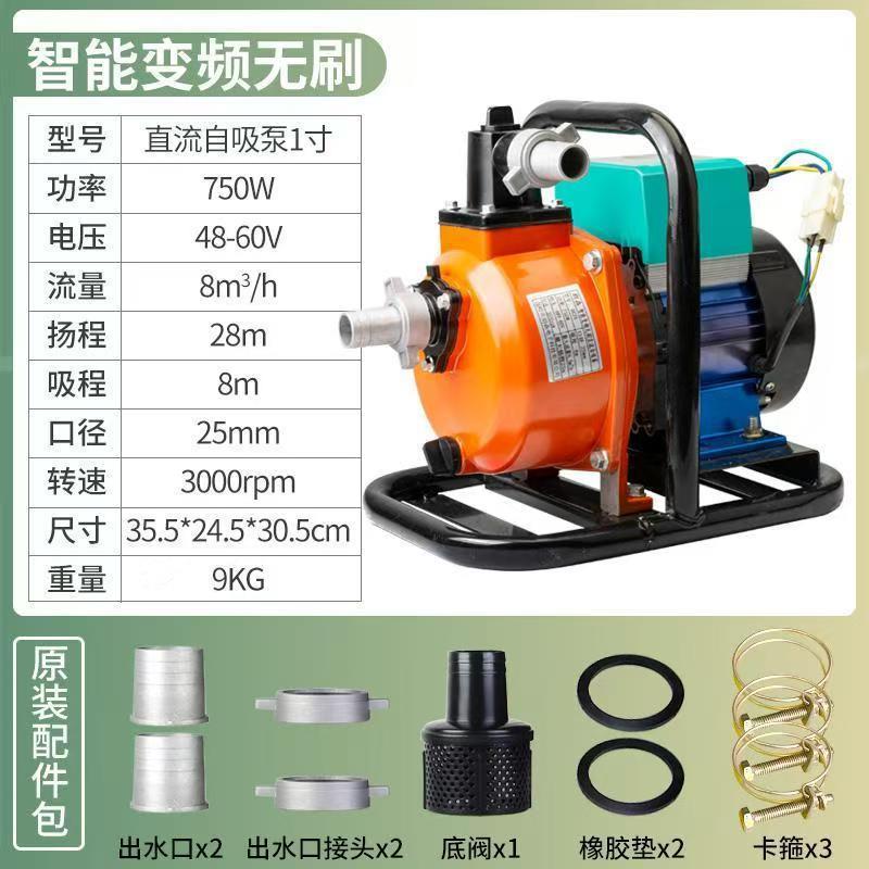 电动车抽水泵便携式迷你抽水机菜地地头水泵可移动电车专用抽水