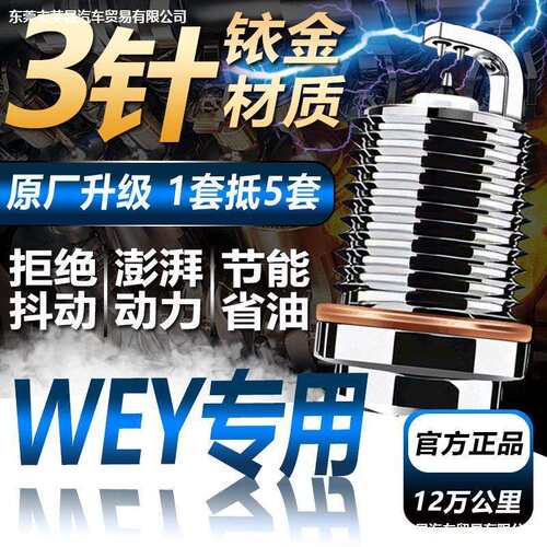 魏派双铱金WEY火花塞WEY P8/VV5/VV6/VV7原厂原装升级2.0T
