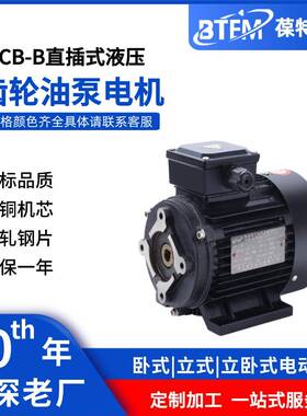 三相异步电机齿轮油泵CB-B/HGP1A/TOP/BB16国标380V纯铜马达