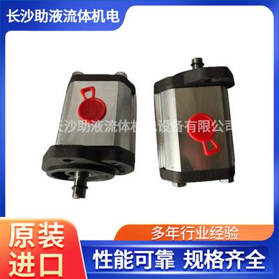 马祖奇高压泵GHP2A-D-40-FG液压齿轮马达工业机械动力单