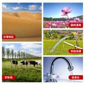 太阳能潜水泵V伏无刷48程直流深井泵高DZN扬太阳能深光井光伏水泵