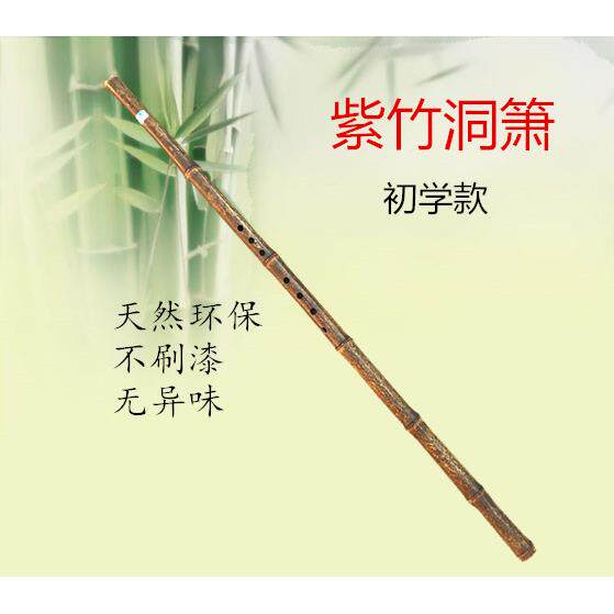 高档萧乐基器初入门短萧零础萧古萧长萧紫学竹箫古风洞g萧八孔调f
