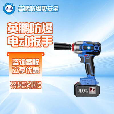 防爆电动扳手YPEX-DBS5.0CGB无刷电机锂电手持强扭力电扳手
