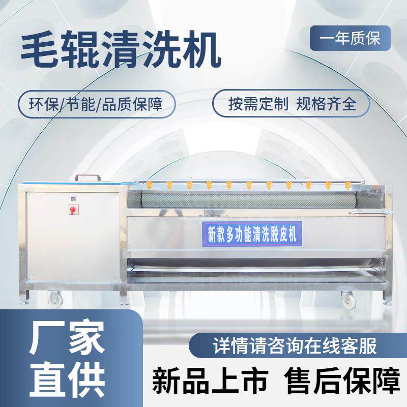 连续毛刷清洗机 商用平行毛棍去泥沙机设备果蔬清洗机 毛辊清洗机