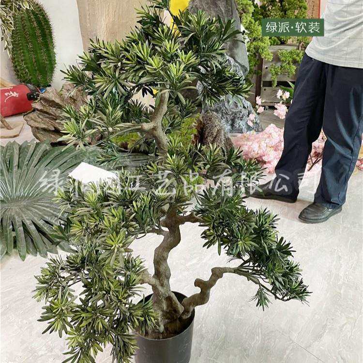 纪念馆大型观赏仿真罗汉松树室外造景专用仿真松树人造绿松树