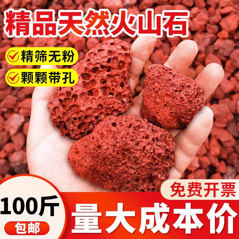 天然火山石颗粒 100斤养花兰花鱼缸专用滤材底砂大块红色基地直发