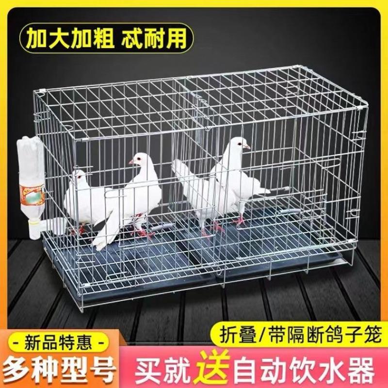 包邮鸽子笼折叠养殖笼鸽子配对笼白家用用品鸡笼鸽子窝直发工厂