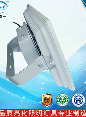 单色RGB内外遥公园-SD90草坪控建筑廓投光投射照W轮树塔吊灯120W