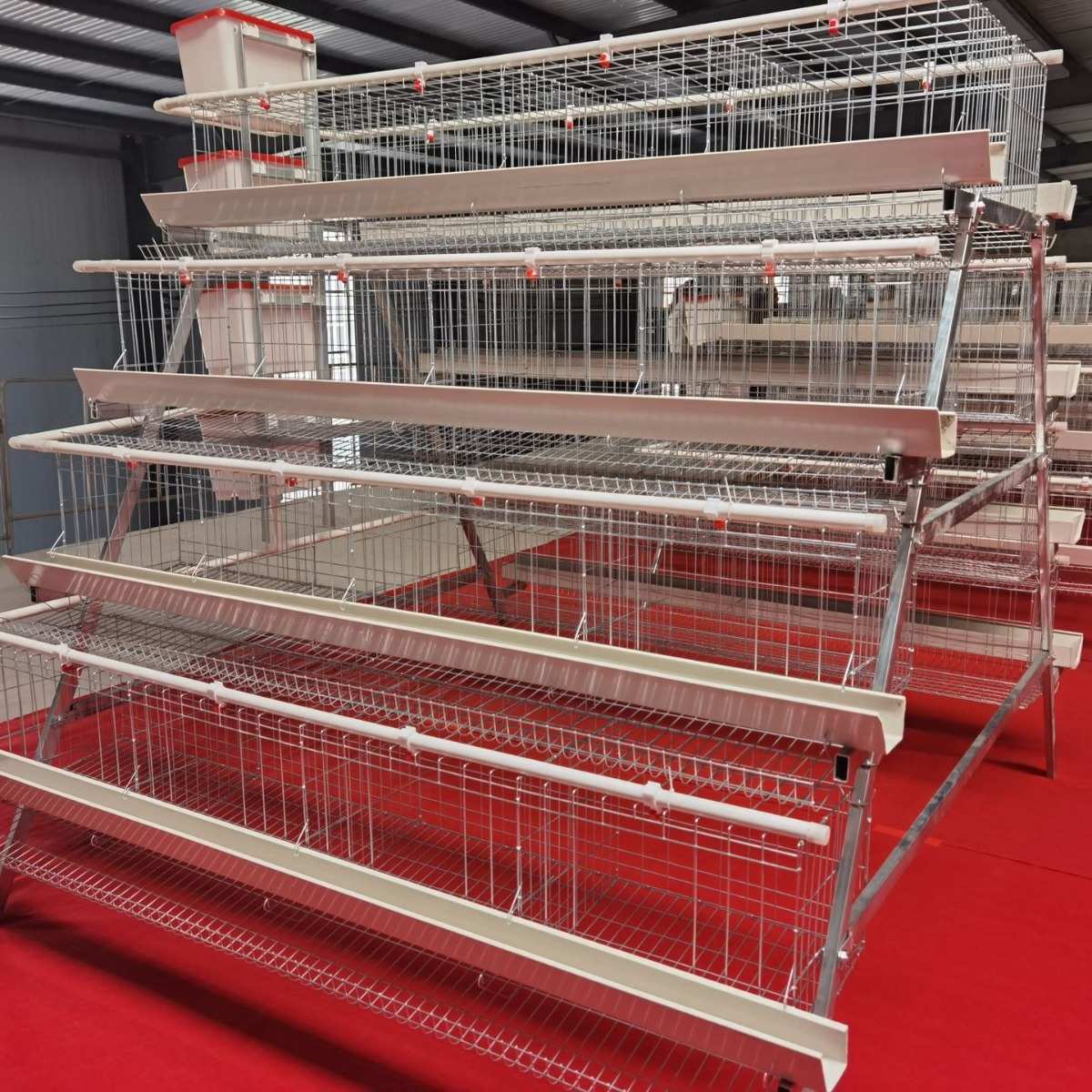 四层四门阶梯蛋鸡笼养鸡场热镀锌养殖笼层叠式厂家可供外贸