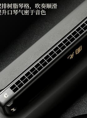 上海口XLI琴2孔复音c调成人专奏业演重音特梦别调4国之口琴高档